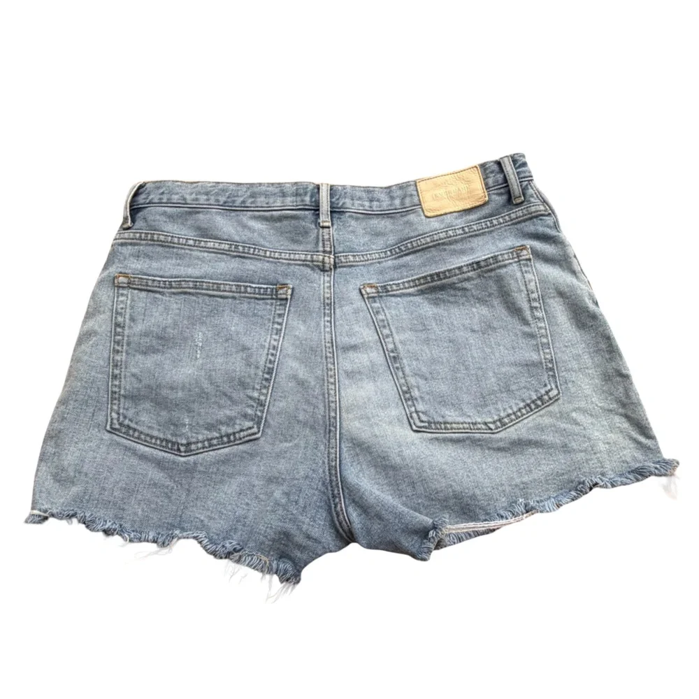 Everlane The Cheeky Short Denim Distressed